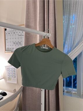Zara Cropped Top